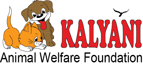 Kalyani Animal Welfare Foundation