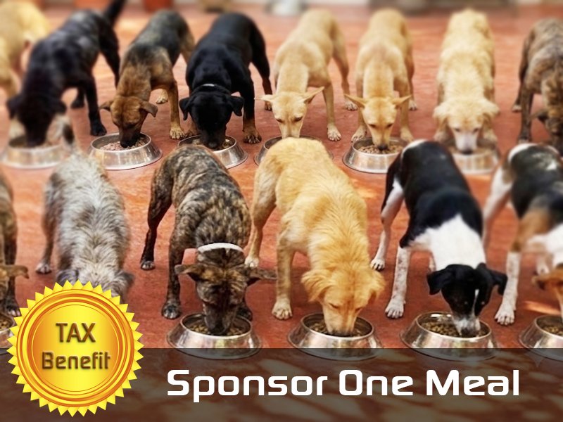 Sponsor One Meal