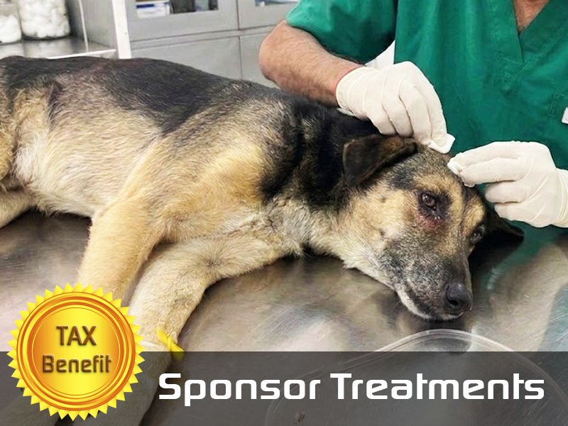 Sponsor Treatment Costs